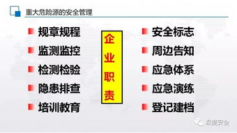 2019年新作 危险化学品重大危险源辨识与化学品进出口管理指南