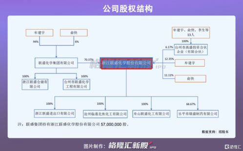 联盛化学冲刺创业板 年营收6.8亿背后，高资产负债率与化学品贸易风险引关注
